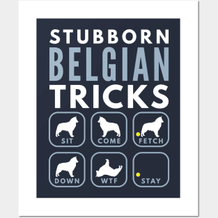 Stubborn Belgian Shepherd Tricks - Dog Training Posters and Art